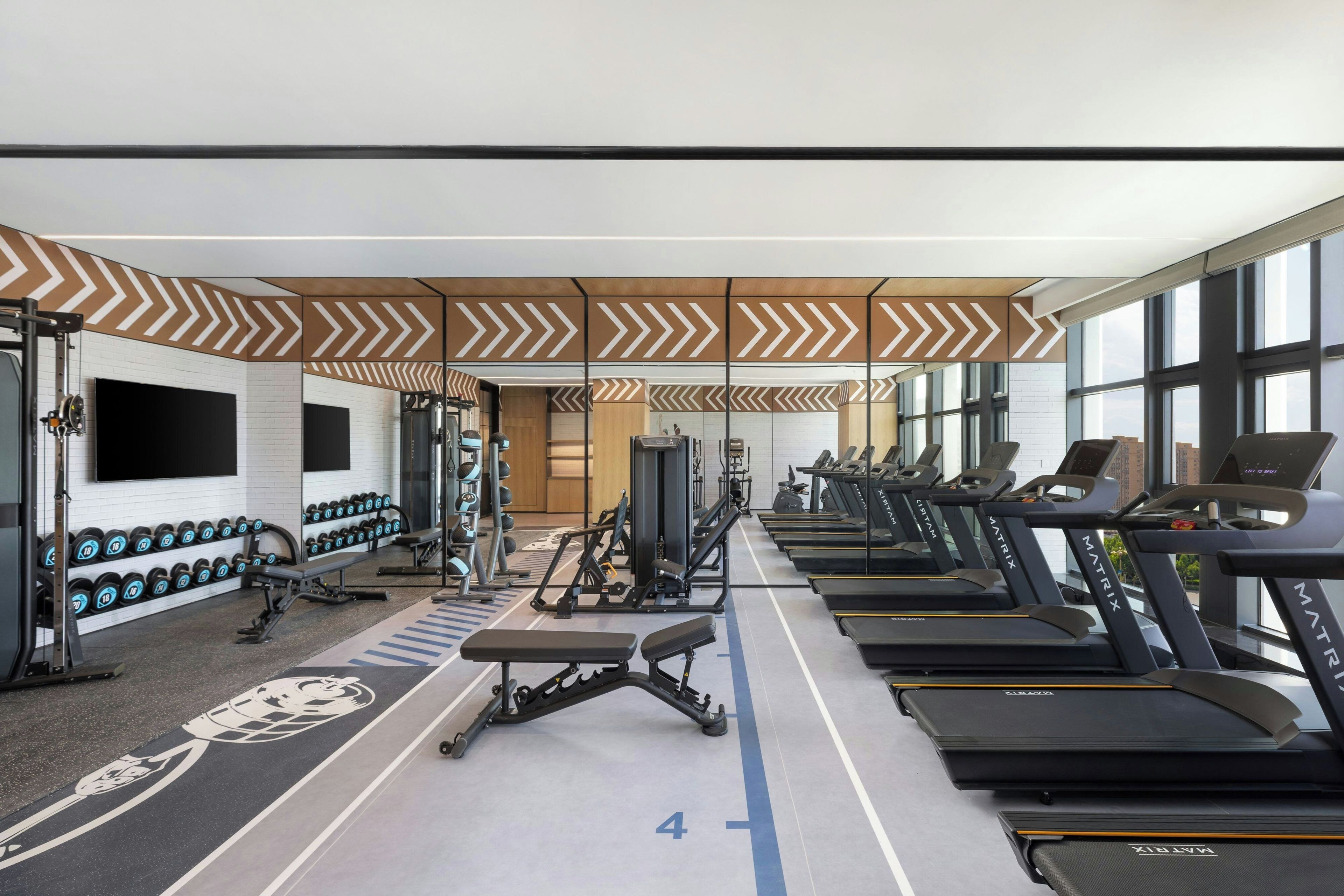 A gym with treadmills, dumbbells, and weight machines.