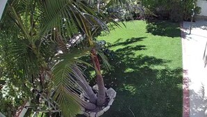 Property grounds - Charming Cozy Studio ,Garden View  in terrific Los Angeles with refreshing AC, (Los Angeles)