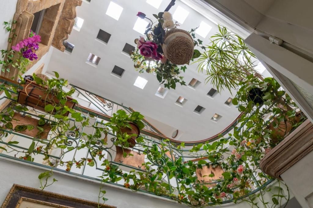A balcony with plants and a wrought iron railing.