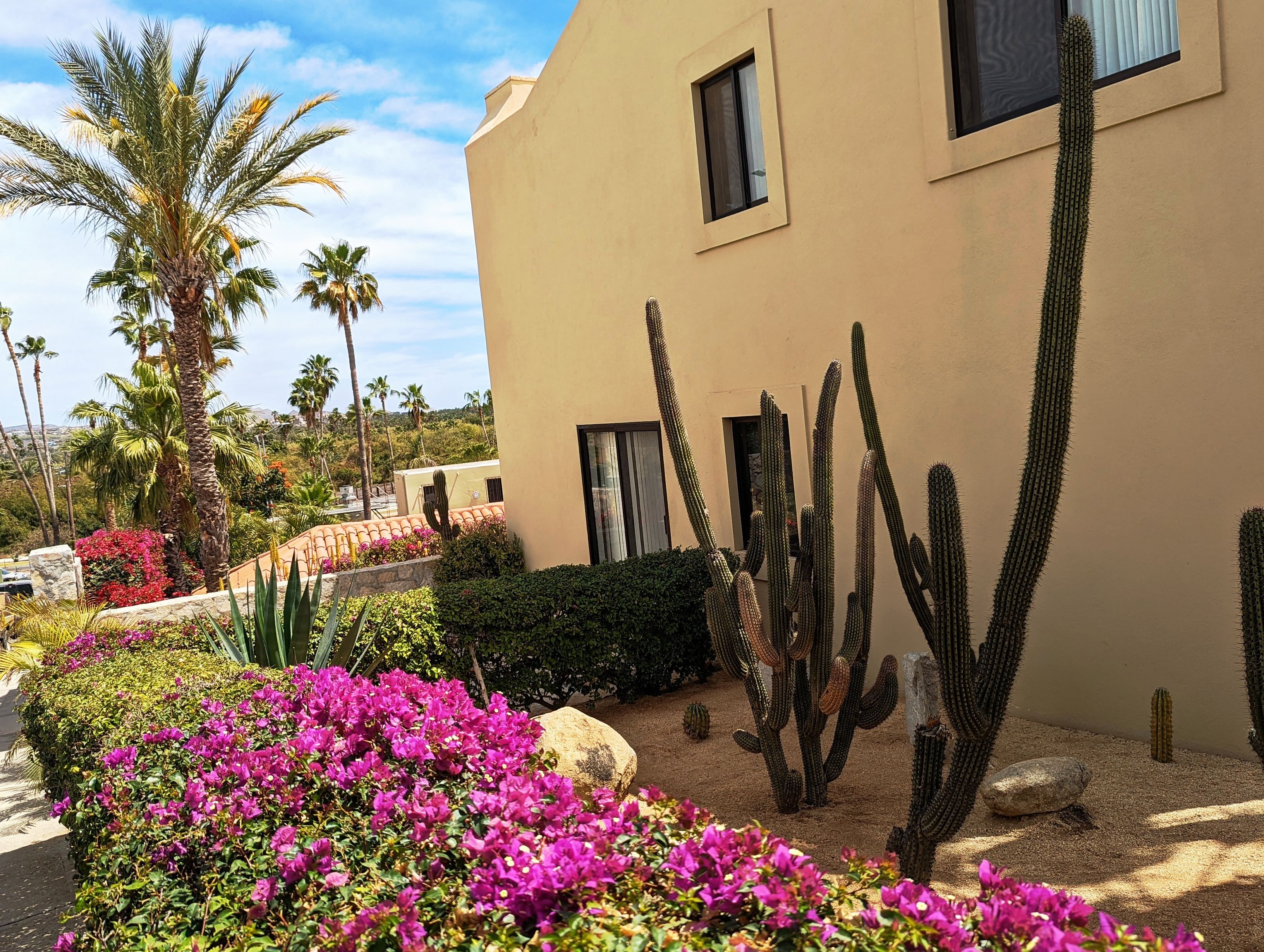 Un bâtiment doté d’un jardin de style désertique, agrémenté de cactus et de bougainvilliers.