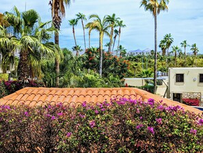 A residential area with a tiled roof, lush greenery, and a mountain in the background. - Walk to Beach - Pool Access - Walk to Restaurants - Laguna Vista (San José del Cabo)