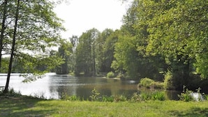 View from property - Ferienpark Tannenbruchsee (Neustadt am Ruebenberge)
