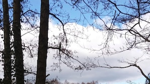 View from property - Ferienpark Tannenbruchsee (Neustadt am Ruebenberge)