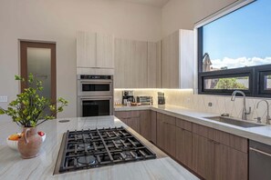 Een moderne keuken met een ingebouwde kookplaat, oven en koffiezetapparaat, een groot raam met uitzicht, en een plant op het aanrecht.