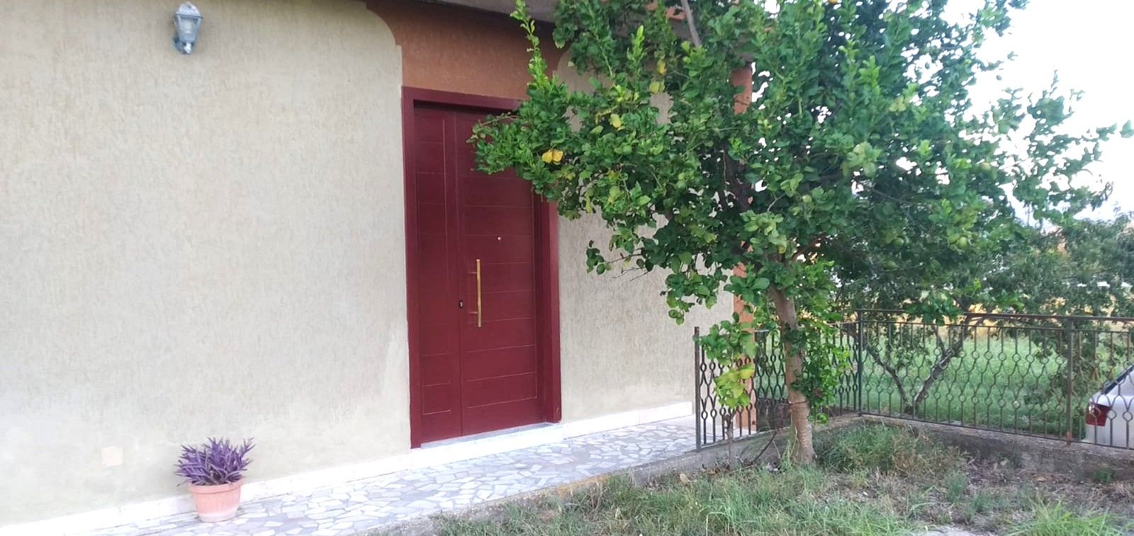 Ein Gebäude mit roter Tür, einem Blumentopf und einem Baum.