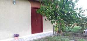 A building with a red door, a potted plant, and a tree.