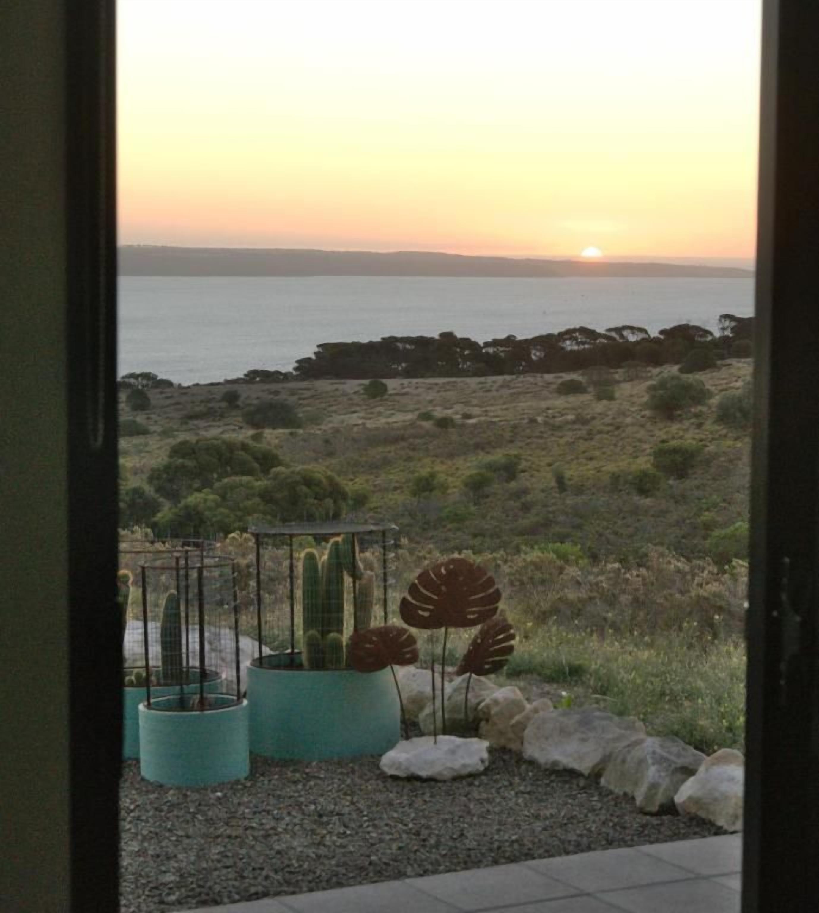 Vista de un paisaje costero con cactus y rocas, vista a través de un vano de puerta.