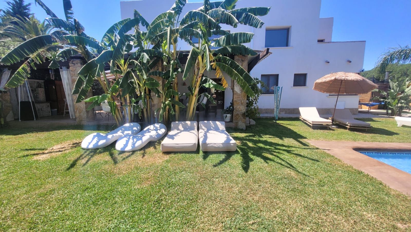 A modern building with a pool, lounge chairs, and banana trees.