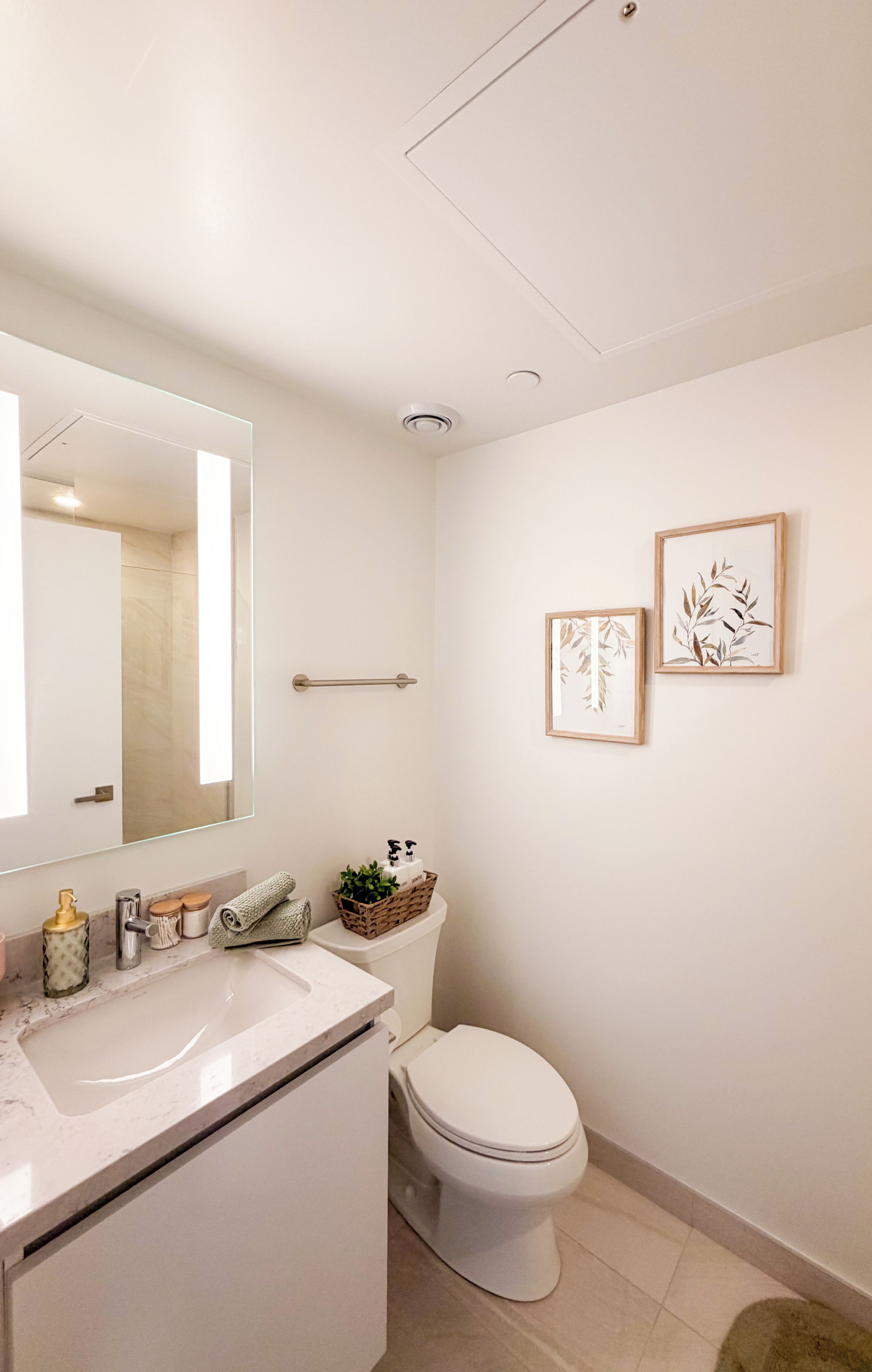 Une salle de bain moderne avec un lavabo blanc, des toilettes et deux reproductions botaniques encadrées accrochées au mur.