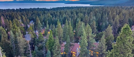 Uma área arborizada com uma casa rodeada por árvores altas.