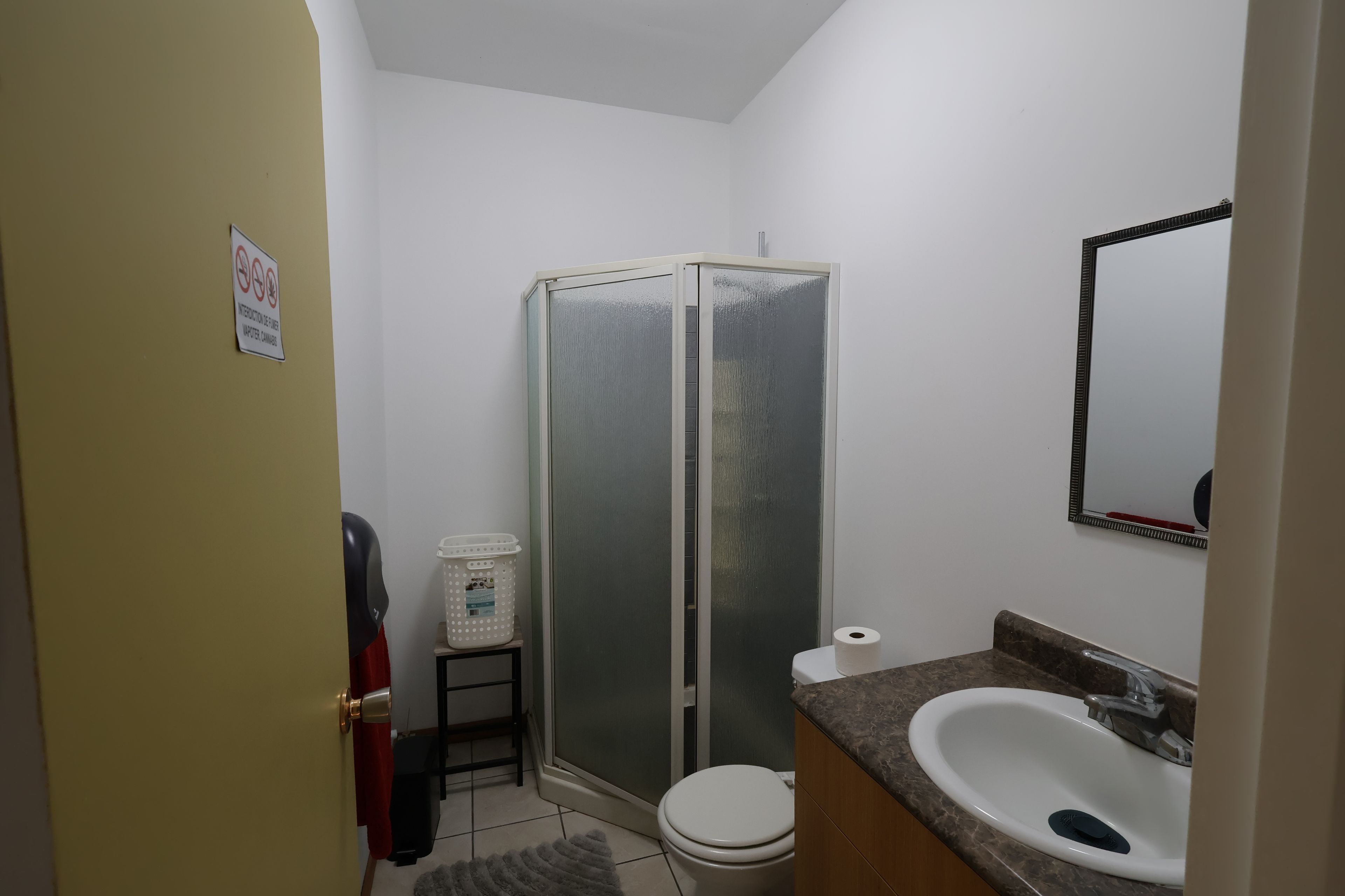 A bathroom with a toilet, a sink, a shower enclosure, and a mirror.