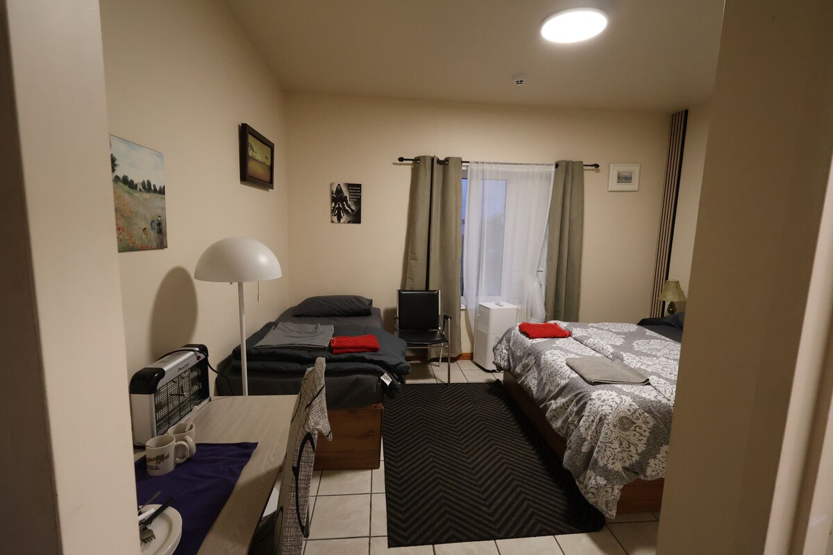 Habitación individual clásica, baño privado, vista al lago | Minibar, escritorio, espacio para trabajar con laptop y wifi gratis 