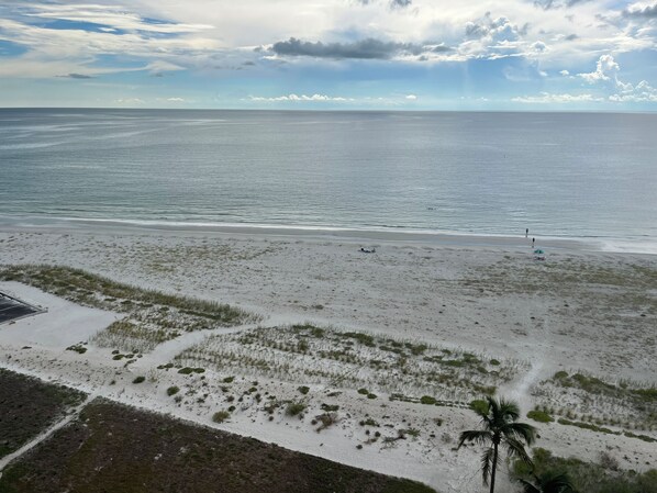 A beach with a clear view of the ocean, a sandy area with sparse vegetation, and a palm tree.