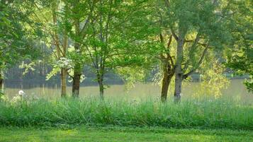 Een vredig uitzicht op een meer met bomen en gras.
