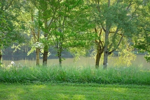 A serene lakeside scene with trees and grass.