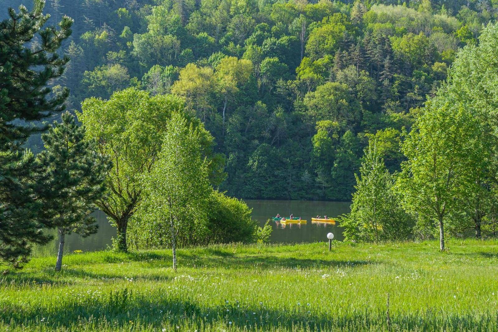Un paysage naturel avec un lac, des arbres et des kayaks.