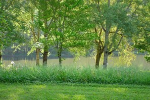 Escena tranquila junto al lago, con árboles y césped.