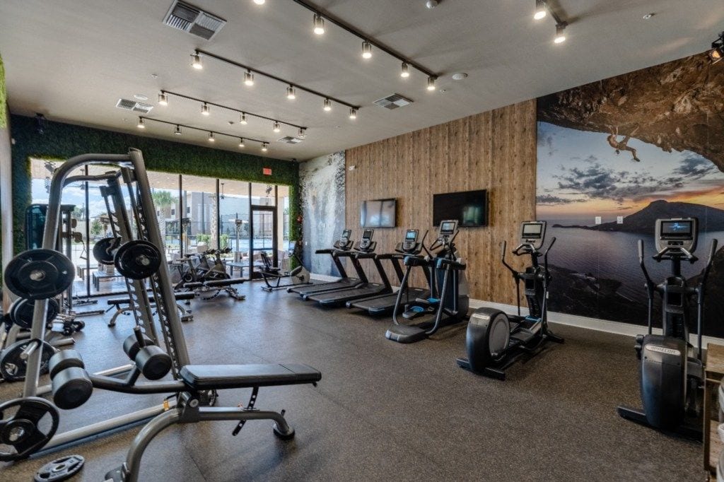 A gym with cardio machines, weightlifting equipment, and a large mural of a cliff.