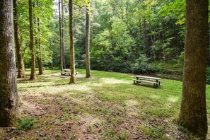 A forested area with picnic tables and benches. - Near Helen | Dog-Friendly Mountain Retreat + Pool (Sautee Nacoochee)
