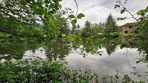 A tranquil pond surrounded by lush greenery and a building with a blue roof.