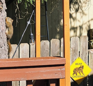 A wooden fence with a bear crossing sign, a tree, and a ladder leaning against the fence.