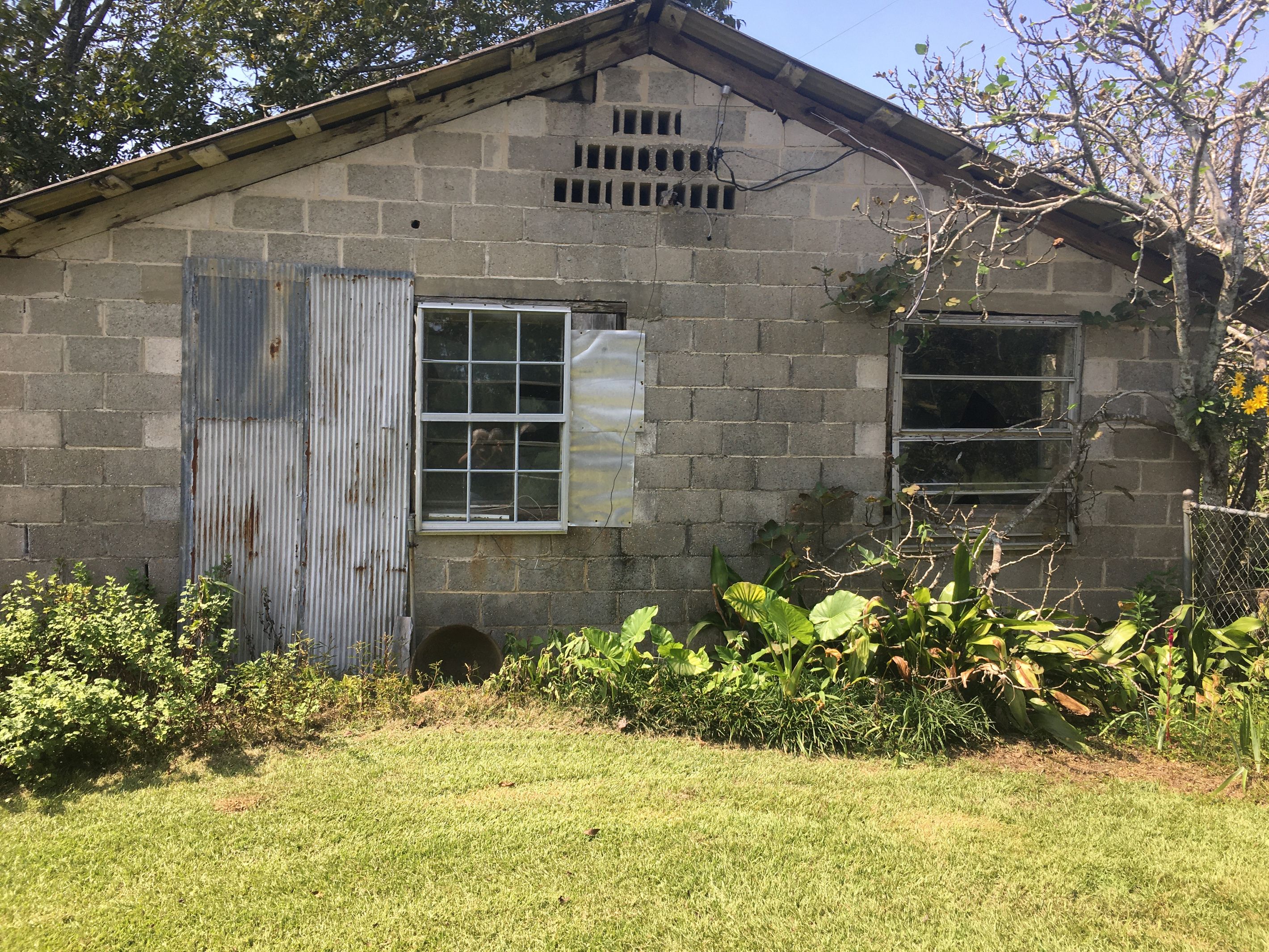 A rustic building with a corrugated metal door, a window, and a small vent.