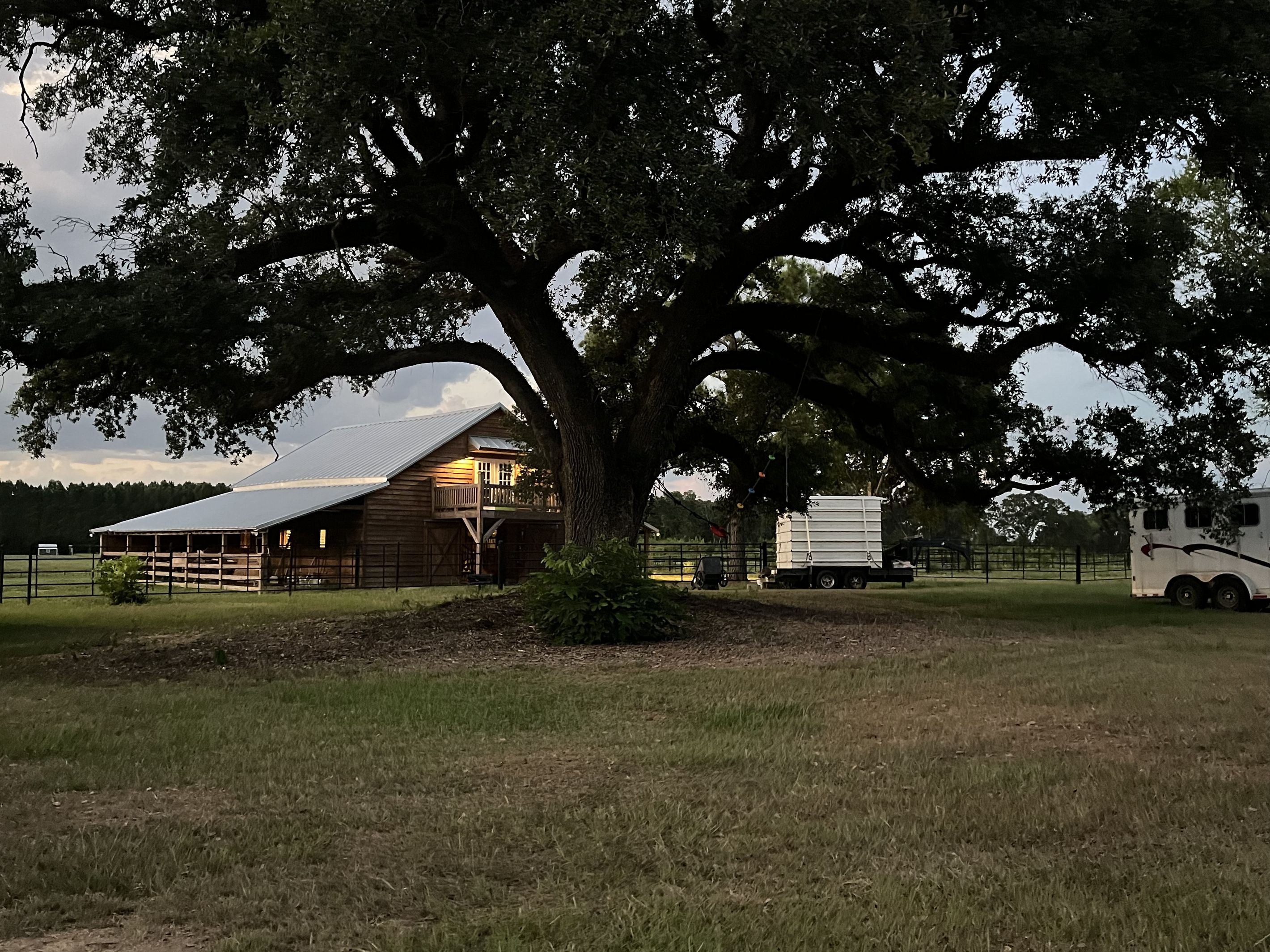 A large tree in front of a wooden barn with a metal roof, a fenced area, and a white truck parked nearby.