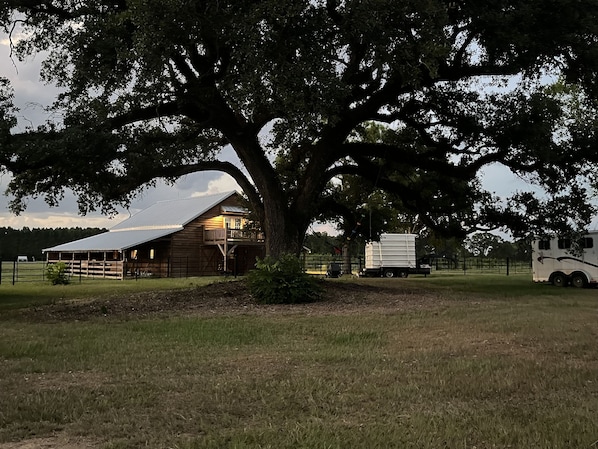 A large tree in front of a wooden barn with a metal roof, a fenced area, and a white truck parked nearby.