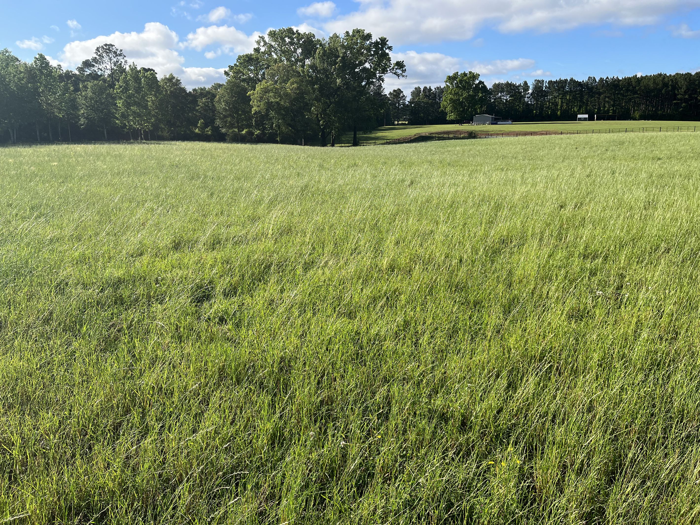 A large open field with a fence and trees in the background.