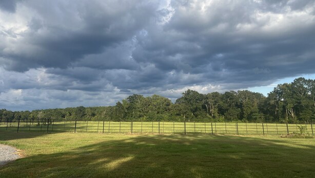 A grassy field with a metal fence and trees in the background under a cloudy sky.