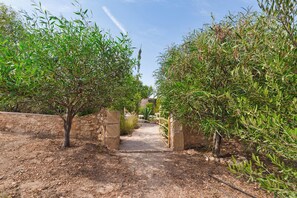 A pathway flanked by dense foliage and stone walls, leading to a building in the distance. - Private Villa & Nature - Domaine l'Oliveraie (Essaouira)