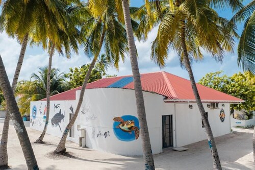 FEEALI BUDDIES INN