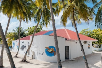 FEEALI BUDDIES INN