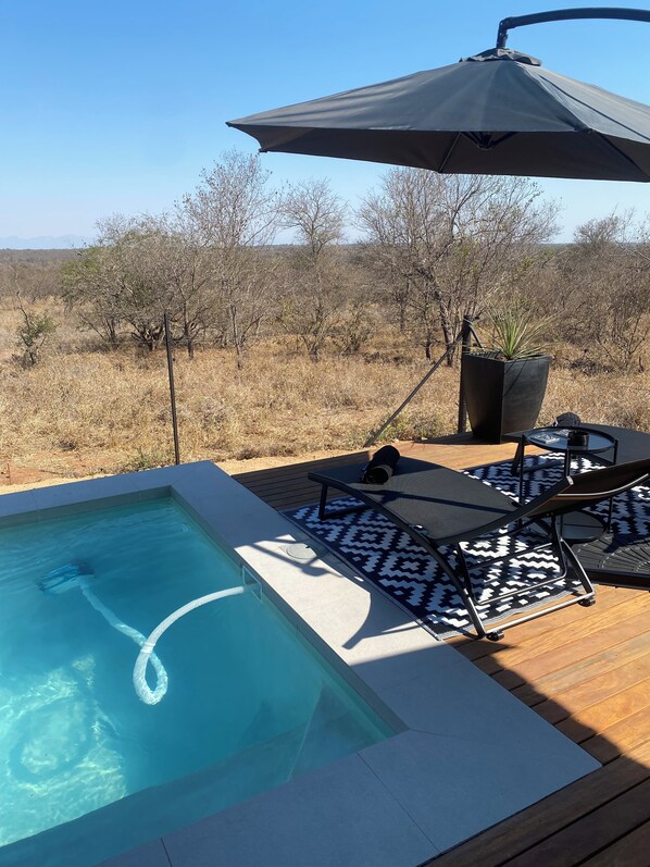 A swimming pool with a wooden deck, lounge chairs, and a large umbrella.