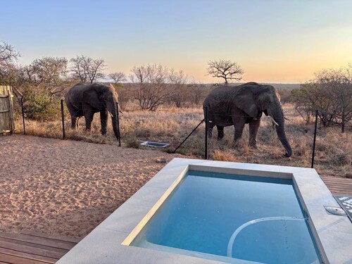 Beautiful private villa on a Big 5 Reserve with plunge pool, game drives
