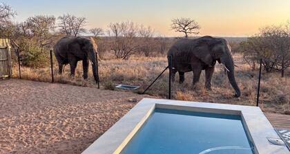 Beautiful private villa on a Big 5 Reserve with plunge pool, game drives