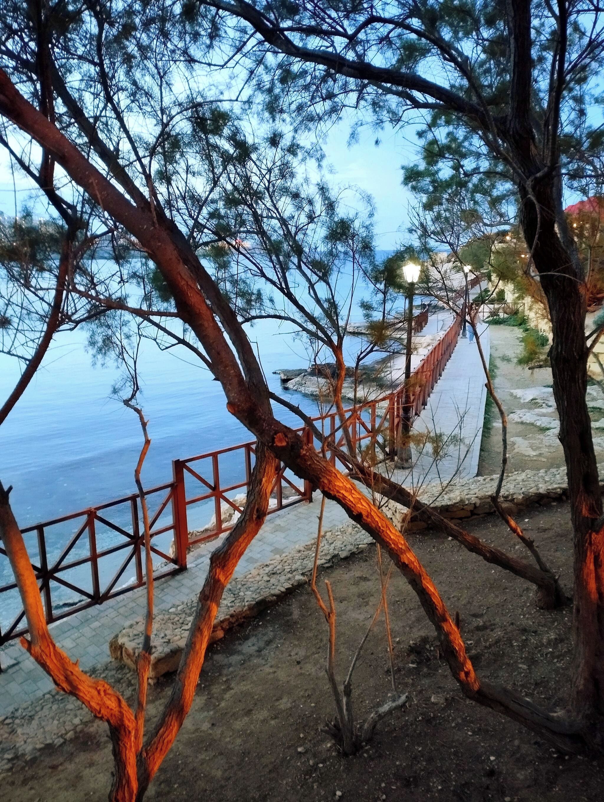 A coastal walkway with a wooden railing, trees, and a clear view of the sea.