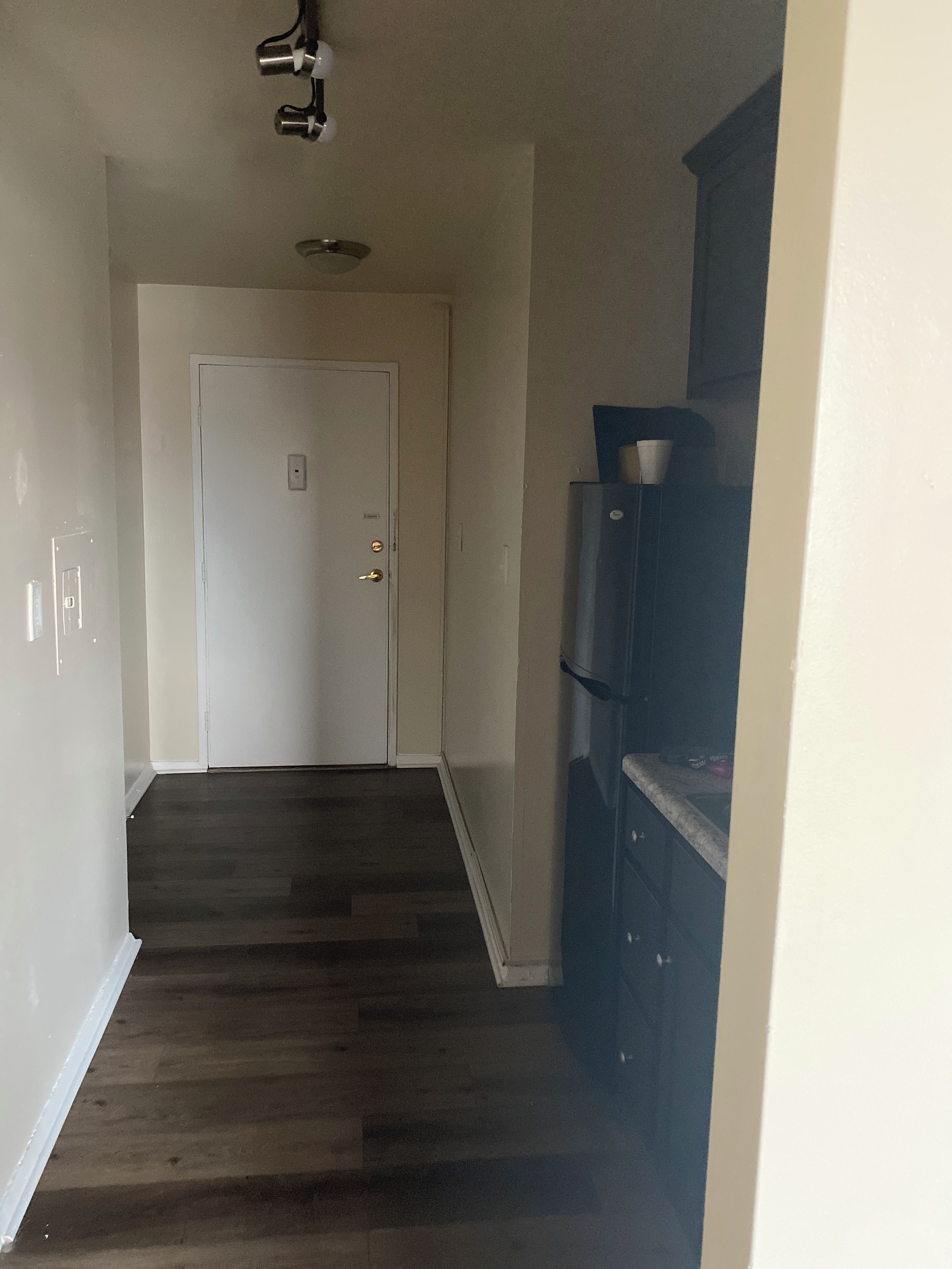 Un couloir avec une porte blanche au fond, un parquet en bois foncé et une armoire bleue sur le côté droit.