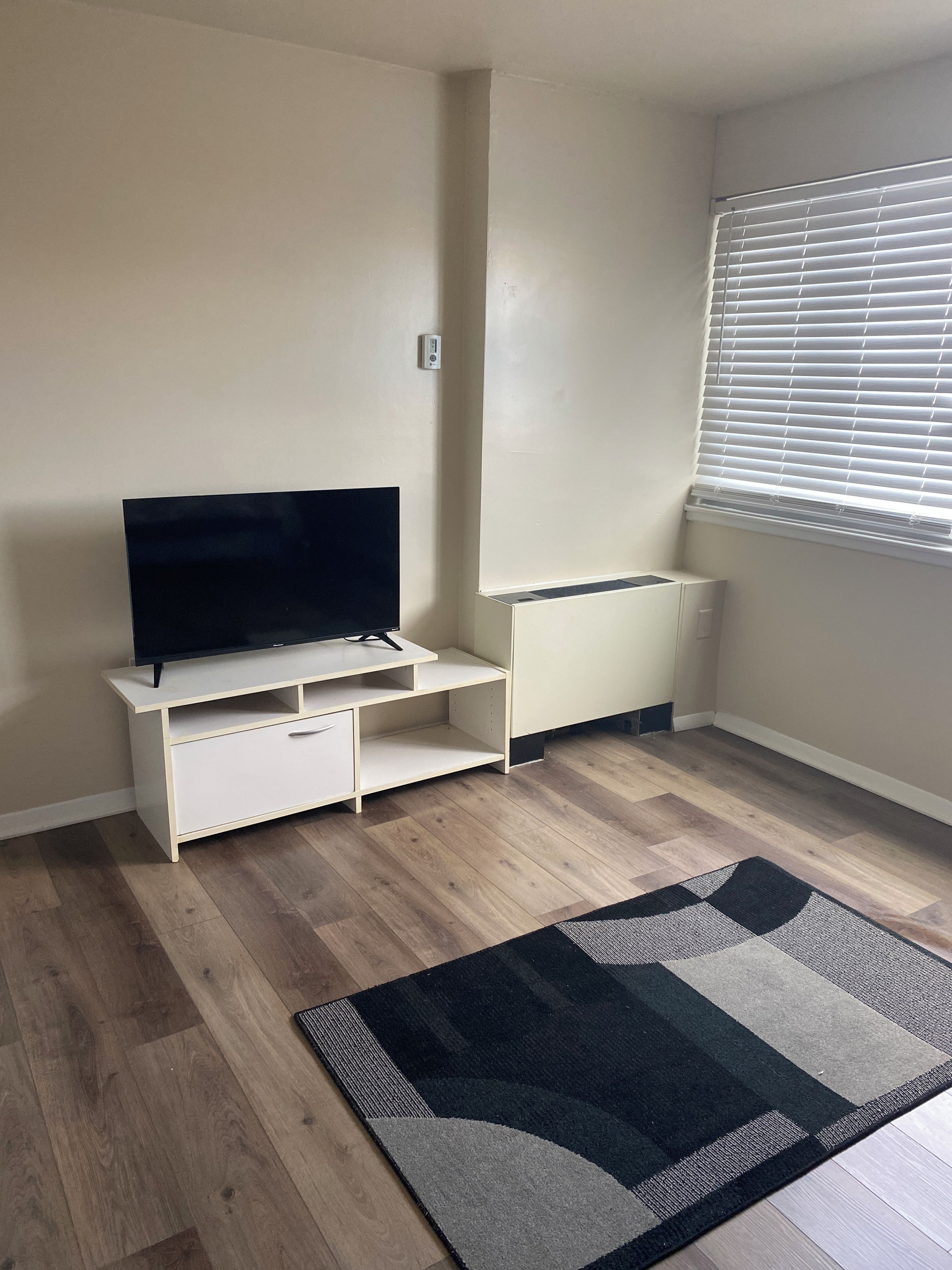 A room with a television on a white stand, a radiator, a window with blinds, and a patterned rug on the floor.