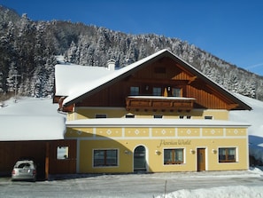 View from property - Pension Wald (Faistenau)