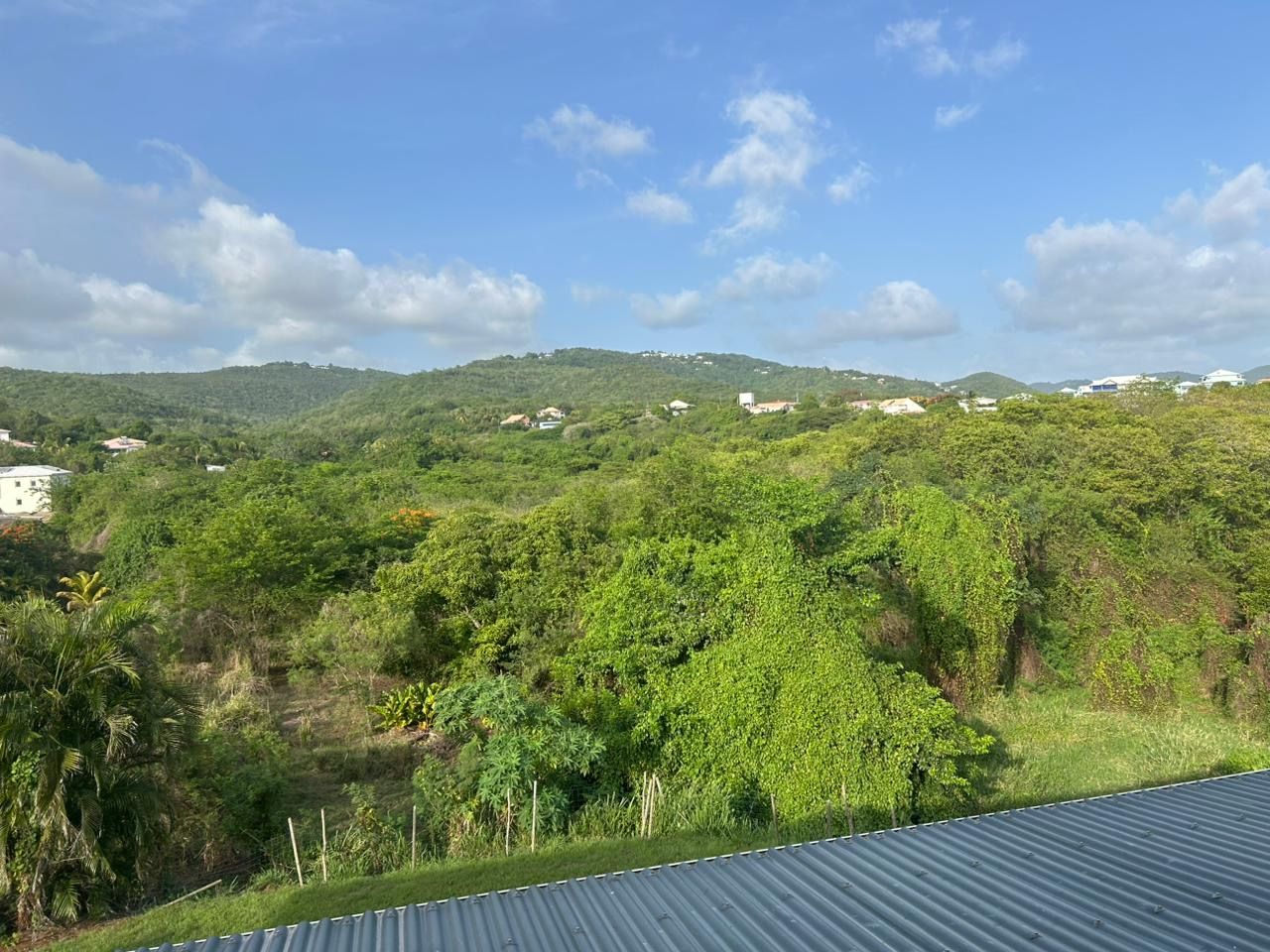 Blick auf eine hügelige Landschaft mit dichter Vegetation und vereinzelten Gebäuden.