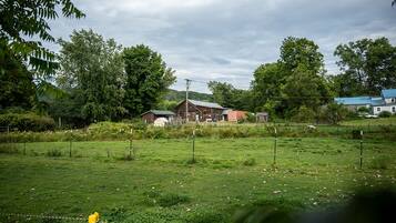 A rural landscape with a wooden barn, fenced fields, and a house with a blue roof.