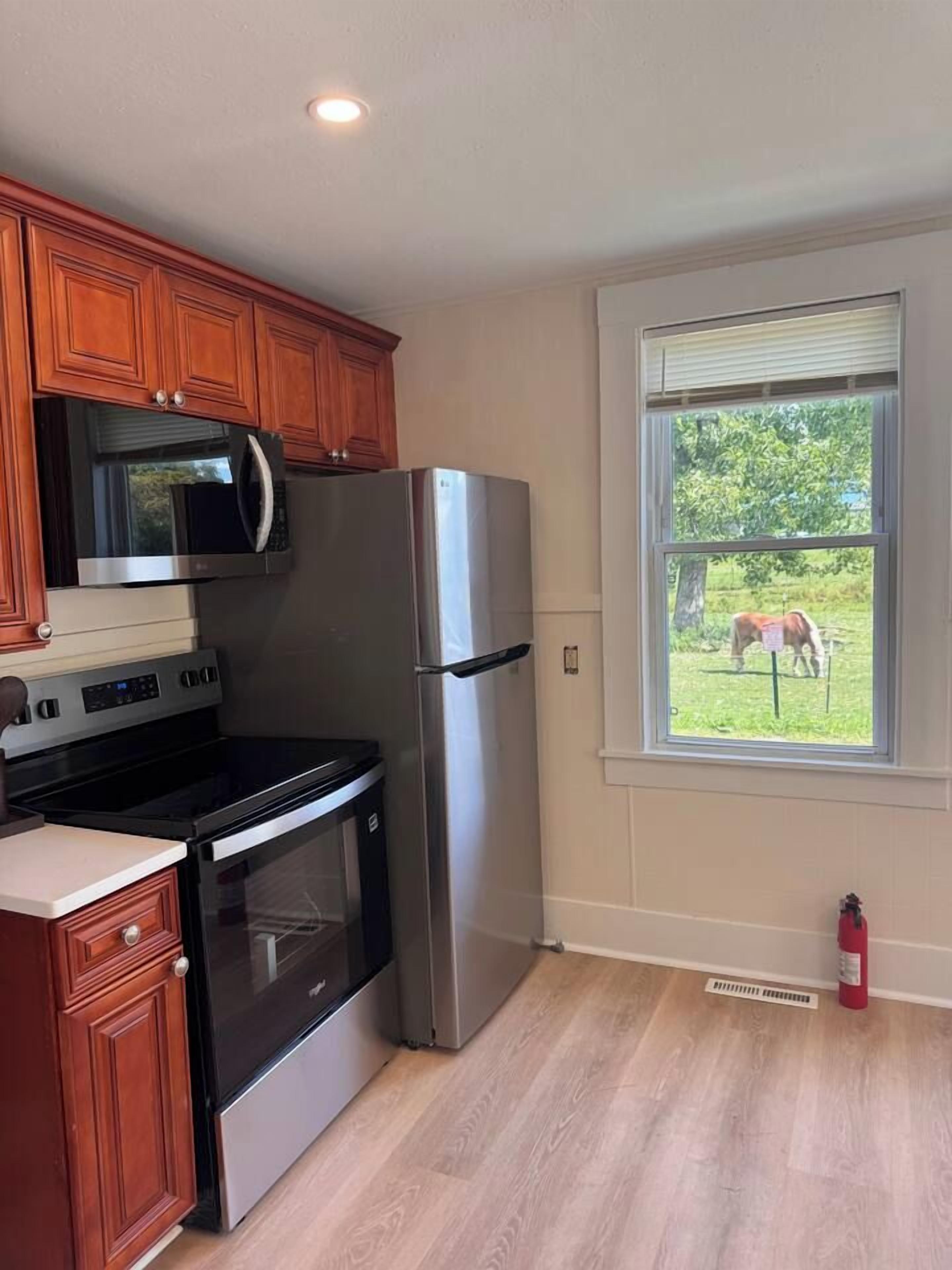 Una cucina con mobili in legno, un frigorifero in acciaio inox, un forno a microonde, un forno e una finestra con vista su un cavallo.