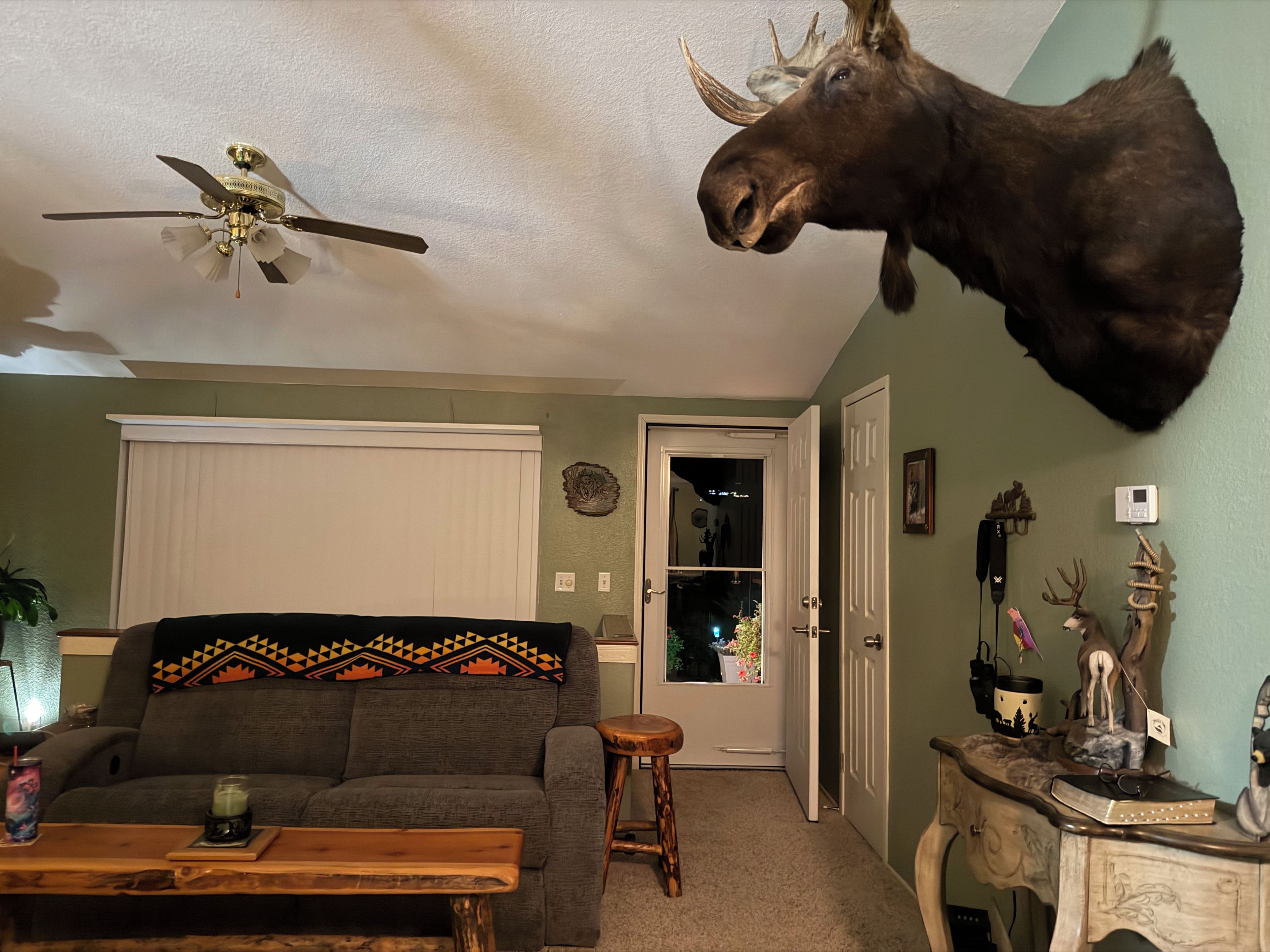A living room with a mounted moose head, a ceiling fan, a sofa with a patterned throw, a coffee table, and a door with a glass panel.