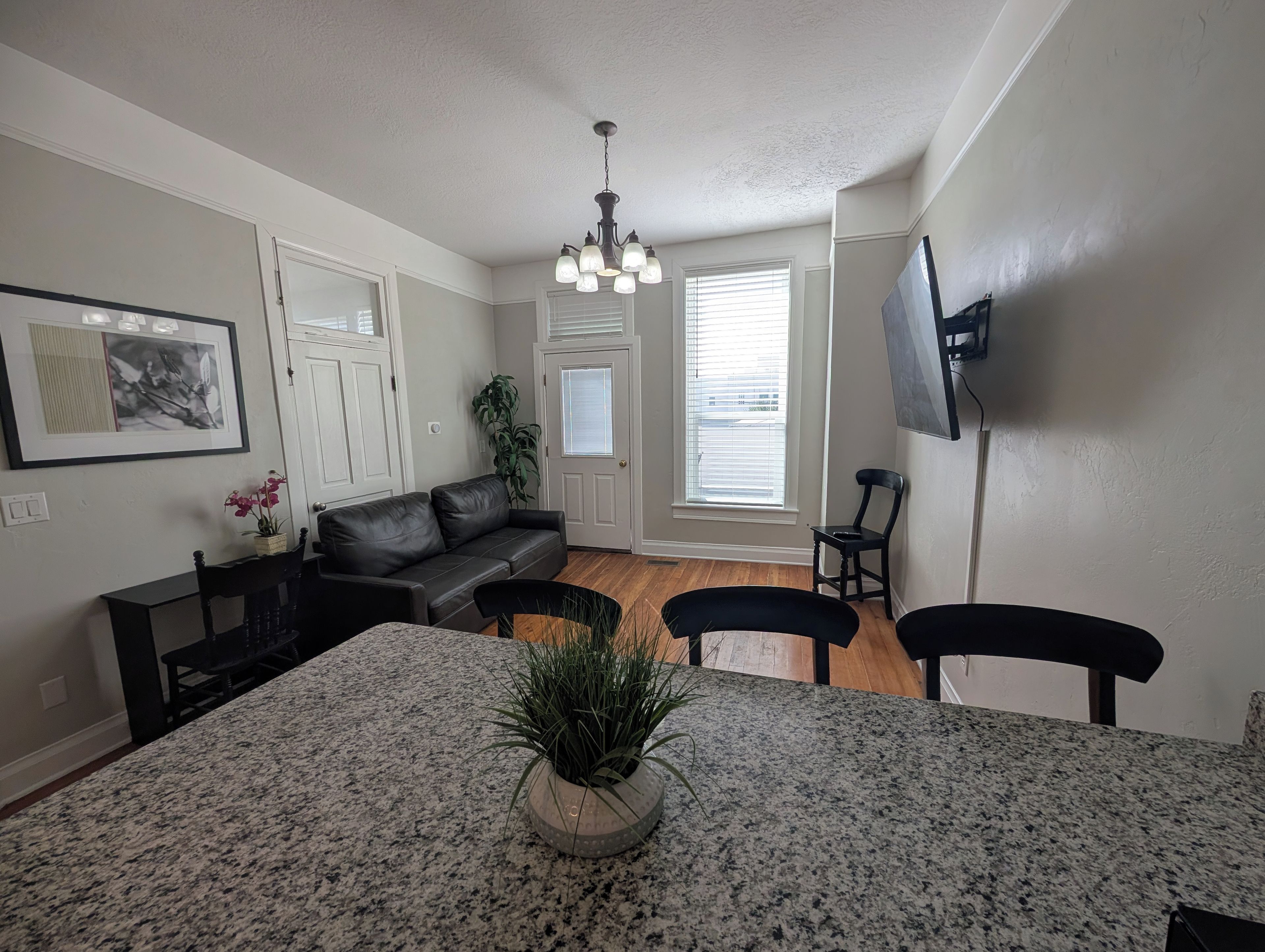 A living room with a black leather sofa, a dining table with chairs, a potted plant, and a ceiling light fixture.