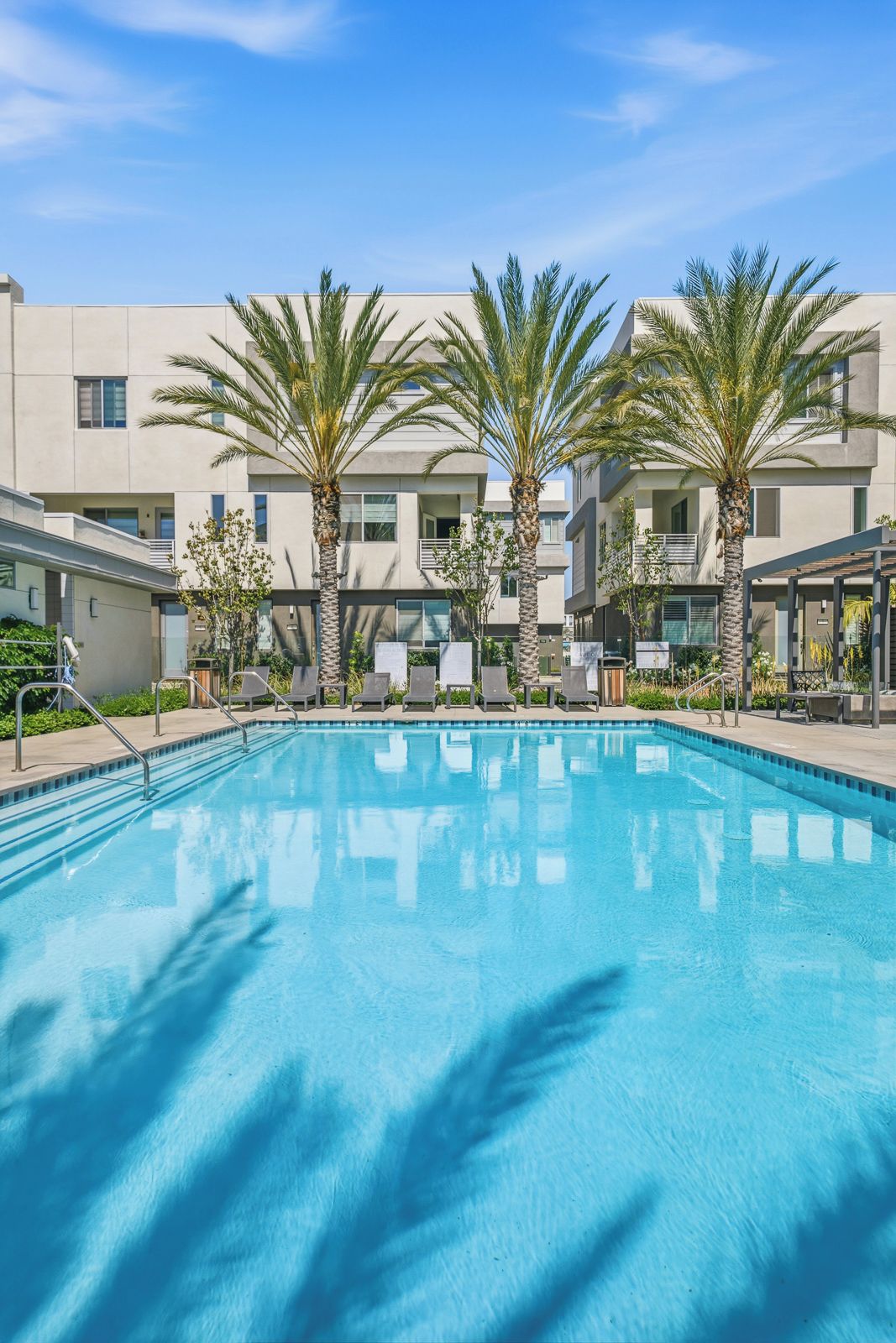 A swimming pool with lounge chairs and palm trees, surrounded by modern buildings.