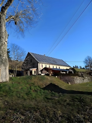 Une maison avec un toit en pente, des panneaux solaires et un grand arbre au premier plan.