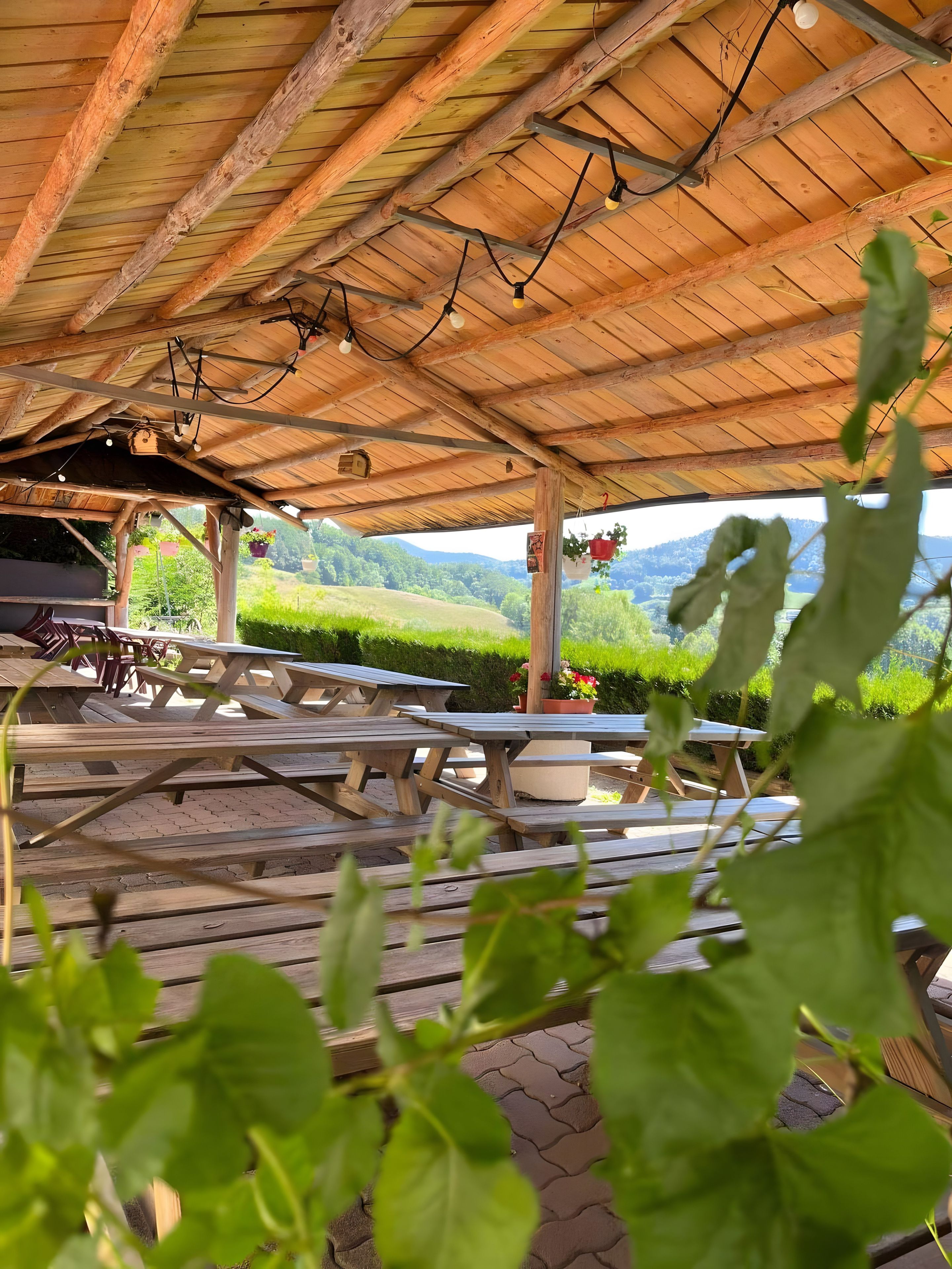 Un pabellón exterior de madera con mesas de picnic y luces colgantes.