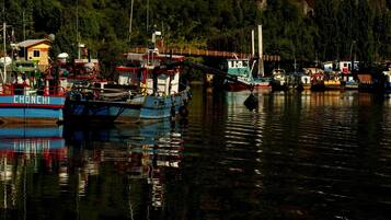 A harbor with boats docked, a bridge, and a forested hillside in the background.