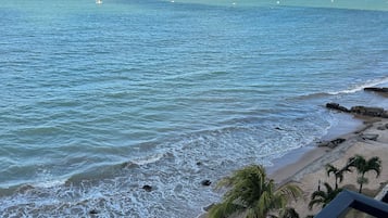 A coastal view from a balcony overlooking a beach with waves, a palm tree, and a rocky shoreline.